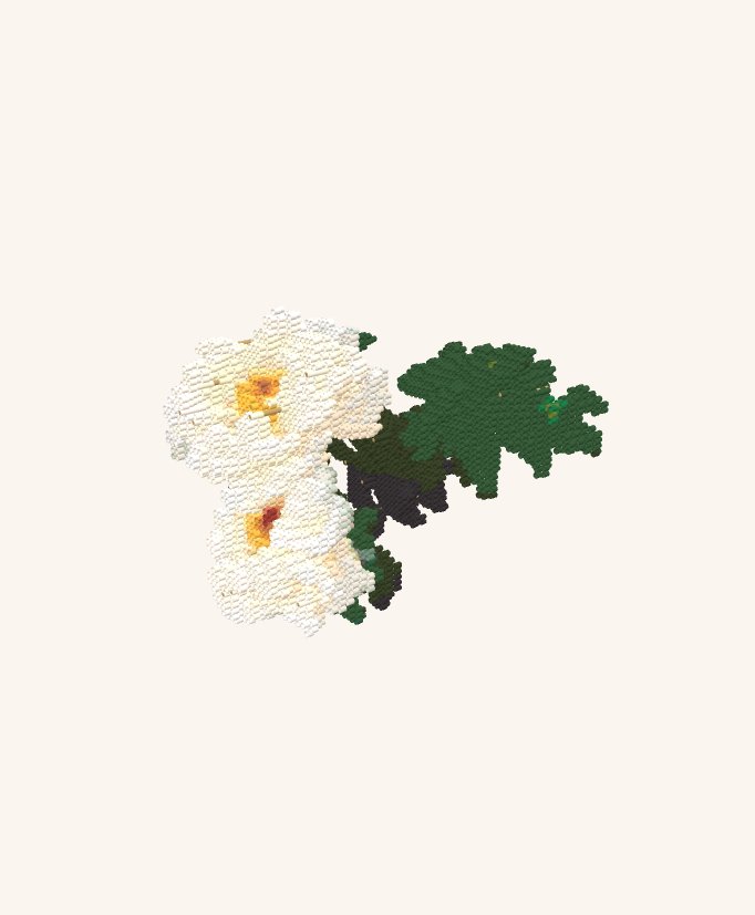 White Flowers with Green Leaves